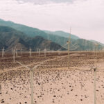 Palm Springs Windmill Tours